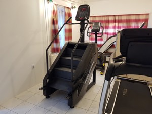 ÚJ! Edzőtermi kategóriás, profi lépcsőzőgép készletről azonnal elvihető! - kép 11