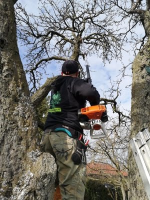 Ereszcsatorna tisztítás, térkőtisztítás és kertgondozás a Balatonnál - kép 15