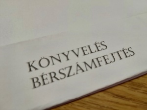 Könyvelés,bérszámfejtés.