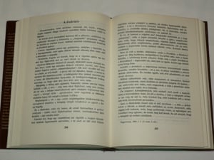 Herman Ottó A pokol cséplője / könyv  Magvető Könyvkiadó 1983  - kép 3