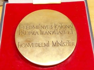 Hatalmas méretű honvédségi bronz plakett, szablyával, Magyarország térképével, eredeti tokjában - kép 2