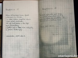 Radnóti Miklós Bori notesz/Bori notesz melléklet - kép 7