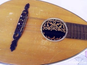 Antik Mandriola vagy Tricordia, 12 húros mandolin. Meinel & Herold 1910-1920 évek - kép 9