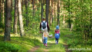 ÚJDONSÁG! Gyerekülés kerékpárra is bérelhető! BEVEZETŐ AKCIÓS ÁRON 1500 helyett CSAK 1000 Ft nap! - kép 6