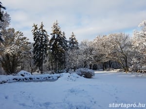 Szállás a Mátrában, az Öregtölgy Birtokon - kép 15