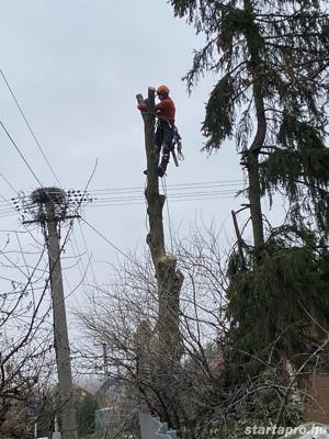 Fakivágás, favágás, alpintechnika, bozótirtás - kép 3