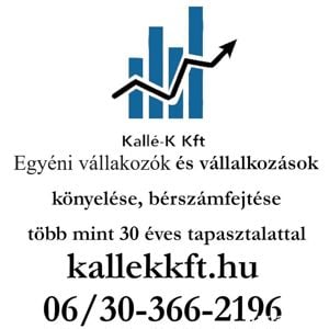 Társasvállalkozások, egyéni vállalkozók könyvelése