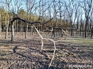 Lakiteleken tanyás ingatlan, gazdasági övezetben eladó. - kép 7