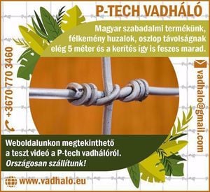 P-tech vadháló,drótfonat,szögesdrót,oszlop - kép 8