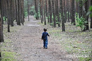 Skorpió4 Magánnyomozó Iroda - kép 6