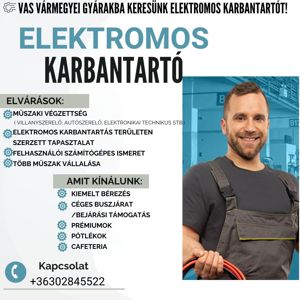 Elektromos Karbantartó