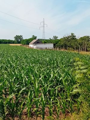 Eladó ipari terület Üllőn.  - kép 9