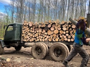 Tűzifa a lehető legjobb áron! Garantált mennyiség és minőség lepakolás előtt közös ellenörzés! - kép 2