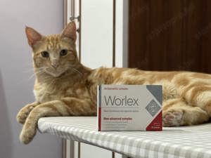 Worlex   természetes parazitaellenes komplex a szervezet tisztítására