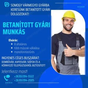 Betanított gyári munka lehetőség Somogy vármegyében!