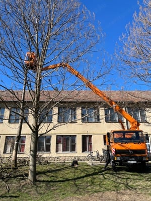 Kosaras emelő,Emelőkosaras autó bérbeadás - kép 7