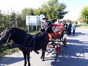 Póni eladó felszerelésekkel hintóval - kép 2