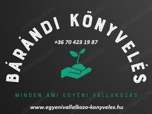 Egyéni vállalkozó könyvelése 