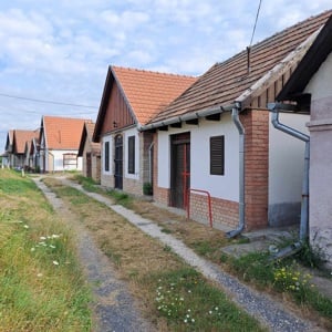 Monoron, Téglagyári dűlőben, 18 m2-es présház + téglázott gádoros borospince 100 m2-es telekkel  - kép 2