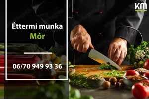 Munkalehetőség Móron, céges állomány, fix beosztás!