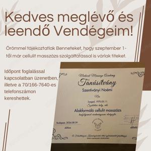 Intenzív,erős masszázs,manuálterápia! - kép 5