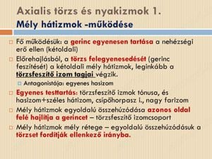 Tanult egészségügyi szakember szakszerű masszázsokkal. Hétvégén is! NEM TESTISÉG, NEM FRANCE!!!!!! - kép 3