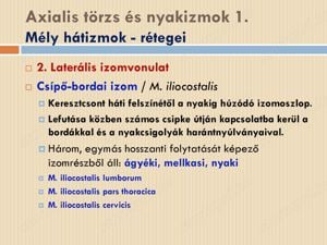 Tanult egészségügyi szakember szakszerű masszázsokkal. Hétvégén is! NEM TESTISÉG, NEM FRANCE!!!!!! - kép 2