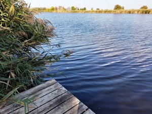 Hétvégi ház, a Holt-Tiszától egy kőhajtásnyira. - kép 10