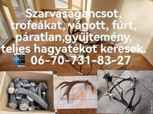 Agancs felvásárlás Vas megyében  - kép 2