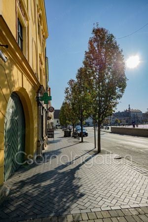 Sopron Várkerületében eladó üzlethelyiség - kép 6