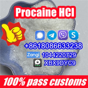 Procaine HCI 51-05-8