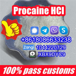 Procaine HCI 51-05-8 - kép 2