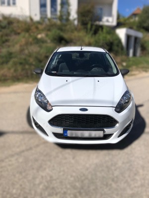 Ford Fiesta 1.5 TDCi, 2017-es, 2 személyes kisteher