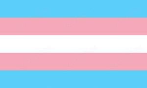 Transzexuális, travi, sissy, shemale partnert keresek