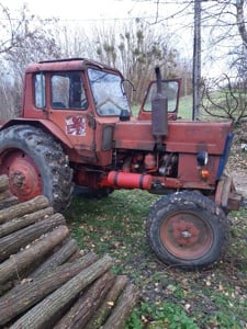 Eladó MTZ80 Traktor Borsfa  - kép 2