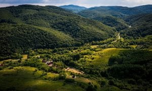 Kivételes befektetési lehetőség a Mecsek lábánál! Vendégház üzemeltetés. - kép 2