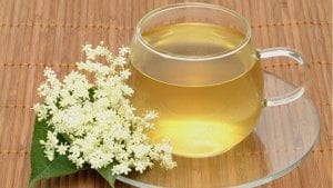 Értékesítése Bodza Virágok (Elderflowers) ömlesztve a gyártótól a legjobb áron - kép 2