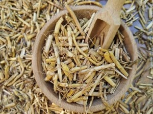 Értékesítése Pyrium gyökér (Wheatgrass Root) ömlesztve a gyártótól a legjobb áron - kép 2