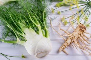 Értékesítése Közönséges édeskömény gyökér (Common Fennel Root) ömlesztve a gyártótól a legjobb áron - kép 4