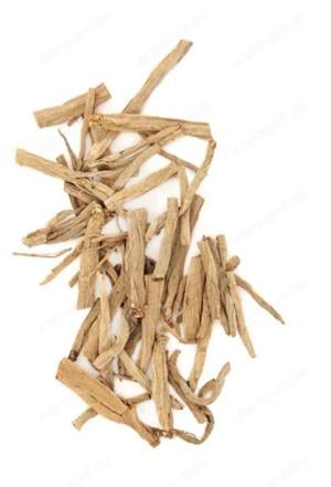 Értékesítése Közönséges édeskömény gyökér (Common Fennel Root) ömlesztve a gyártótól a legjobb áron