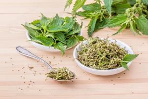 Értékesítése Csalán magvak (Nettle Seeds) ömlesztve a gyártótól a legjobb áron - kép 2