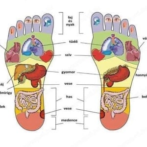 Reflexólógus munkát keresek 