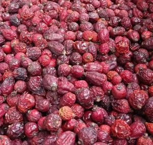 Értékesítése Csipkebogyó gyümölcs (Rosehip Fruit) ömlesztve a gyártótól a legjobb áron - kép 2