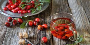 Értékesítése Csipkebogyó gyümölcs (Rosehip Fruit) ömlesztve a gyártótól a legjobb áron - kép 4