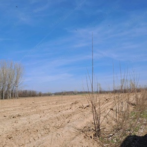 ÁRCSÖKKENÉS!!! Vasad külterületi részén 4,3 Ha szántó, rét  - kép 2