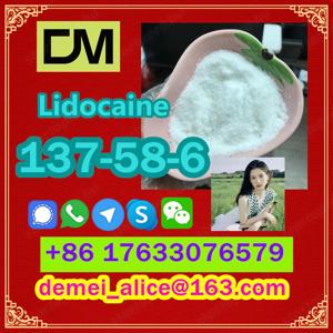  Manufacturer Supply Raw Material CAS 137-58-6 Lidocaine - kép 5