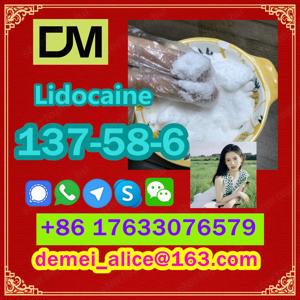  Manufacturer Supply Raw Material CAS 137-58-6 Lidocaine - kép 8