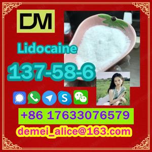  Manufacturer Supply Raw Material CAS 137-58-6 Lidocaine - kép 6