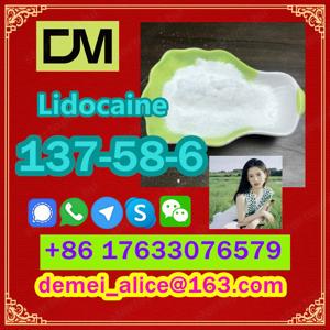  Manufacturer Supply Raw Material CAS 137-58-6 Lidocaine - kép 7