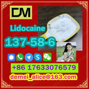  Manufacturer Supply Raw Material CAS 137-58-6 Lidocaine - kép 2